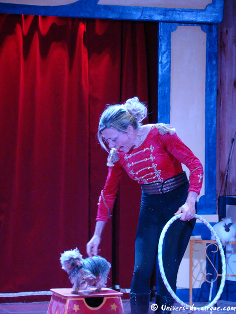 Cirque Star