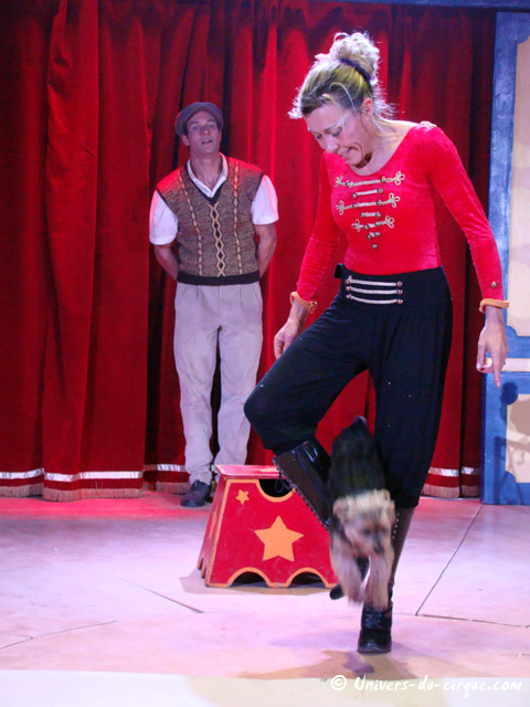 Cirque Star