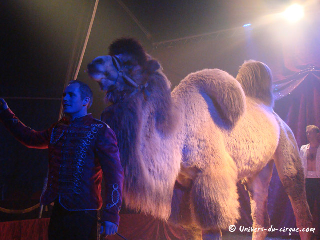 Cirque Stephan Zavatta