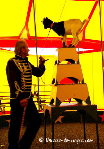 Cirque Vercruysse