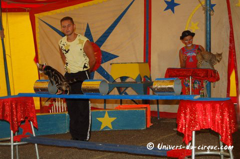 Cirque Vercruysse