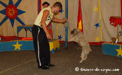 Cirque Vercruysse