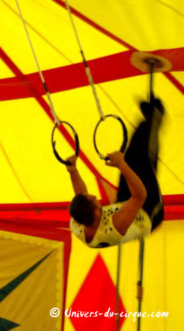 Cirque Vercruysse