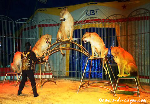Cirque Anthony Zavatta