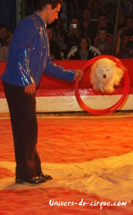 Cirque Anthony Zavatta