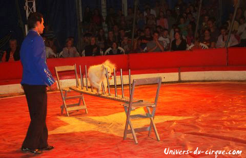 Cirque Anthony Zavatta