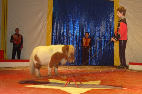 Cirque Anthony Zavatta