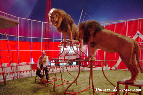 Cirque Zavatta
