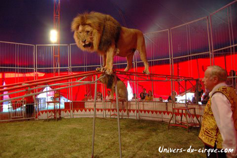 Cirque Zavatta