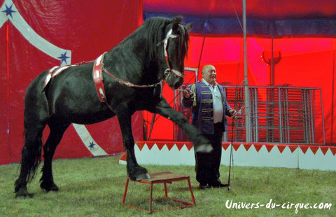 Cirque Zavatta