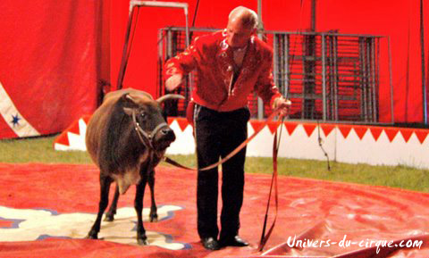 Cirque Zavatta