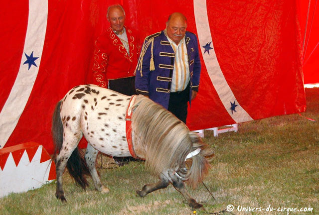 Cirque Zavatta
