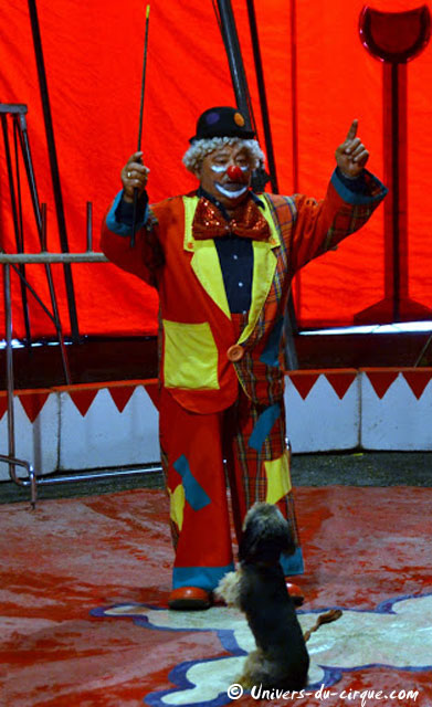 Cirque Zavatta