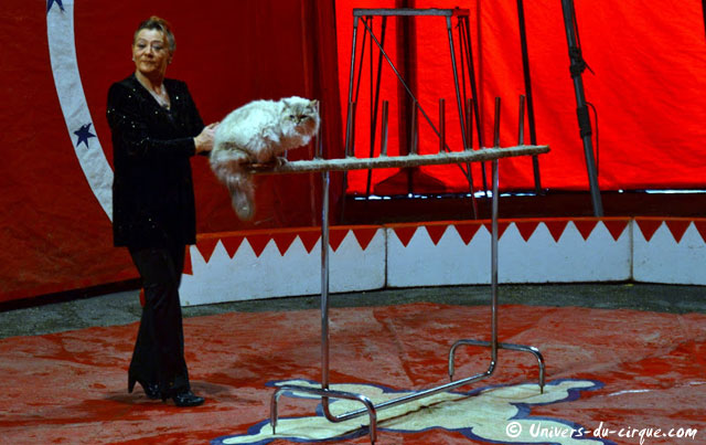 Cirque Zavatta