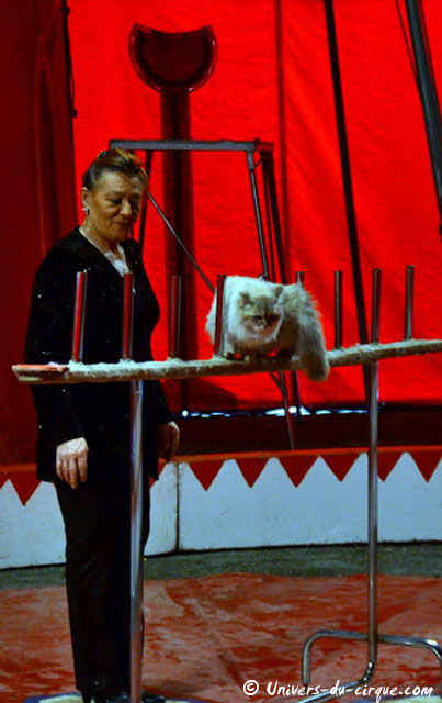 Cirque Zavatta
