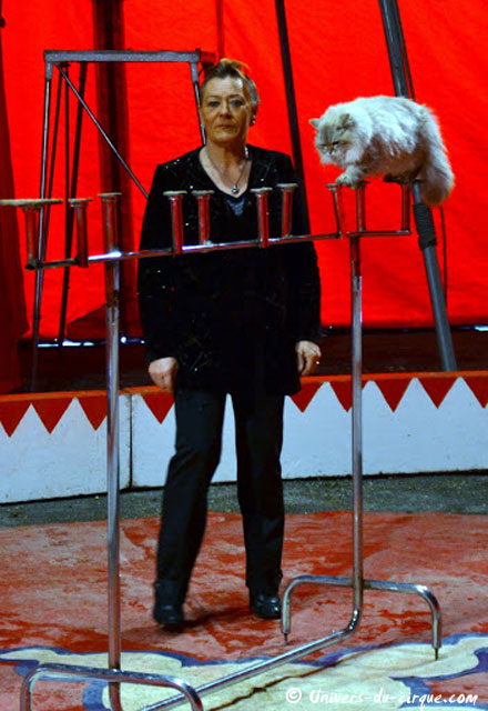 Cirque Zavatta