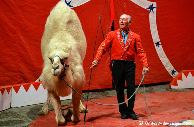 Cirque Zavatta