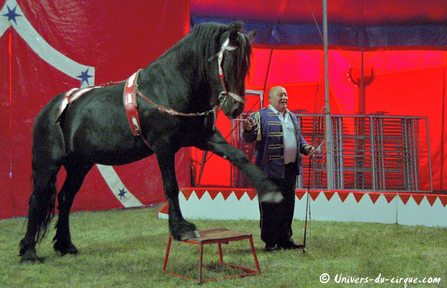 Cirque Zavatta