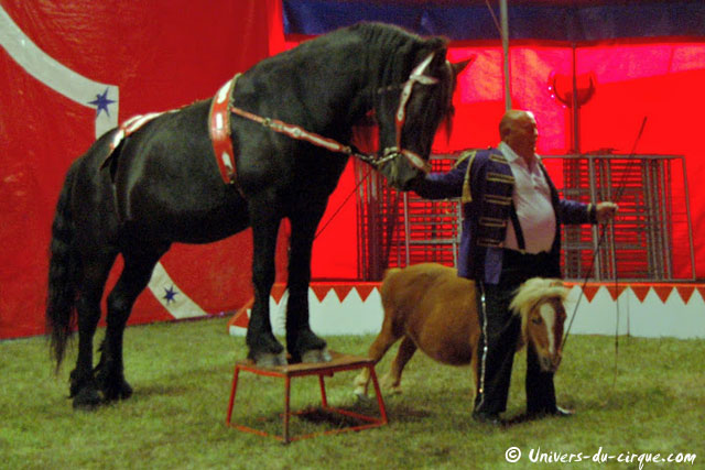 Cirque Zavatta