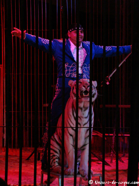 Cirque Zavatta Fils