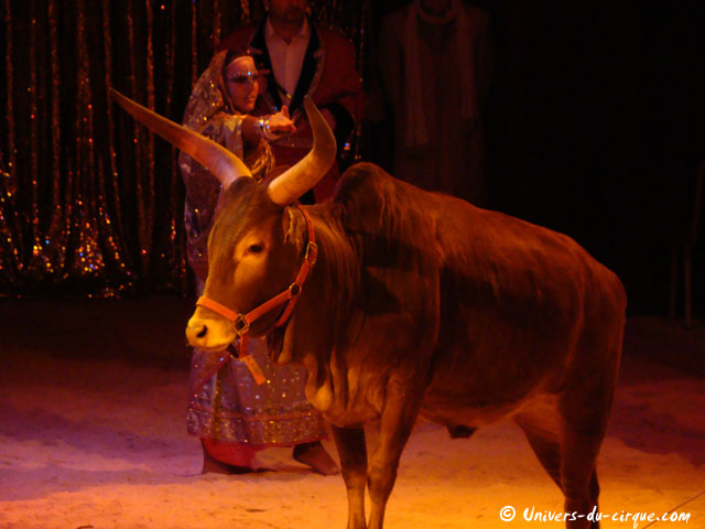 Cirque Zavatta Fils