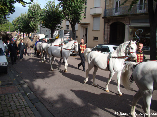 Semaine du Cirque d'Autun
